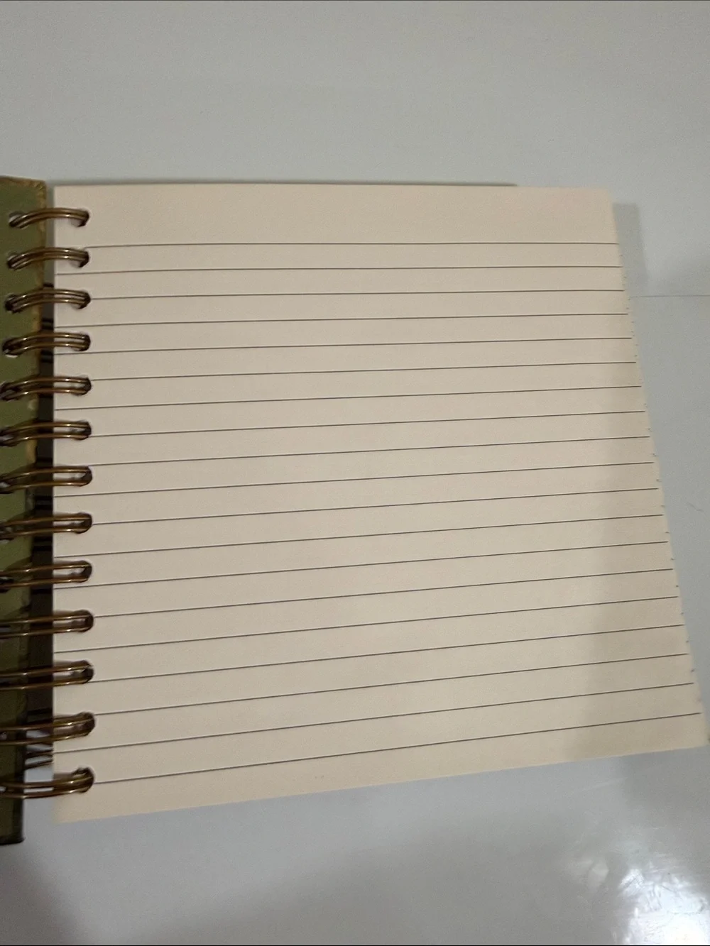 Gold Pug Spiral Notebook — Decorative Journal